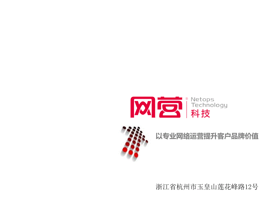 电子商务外包公司提案-网营公司简介_第1页