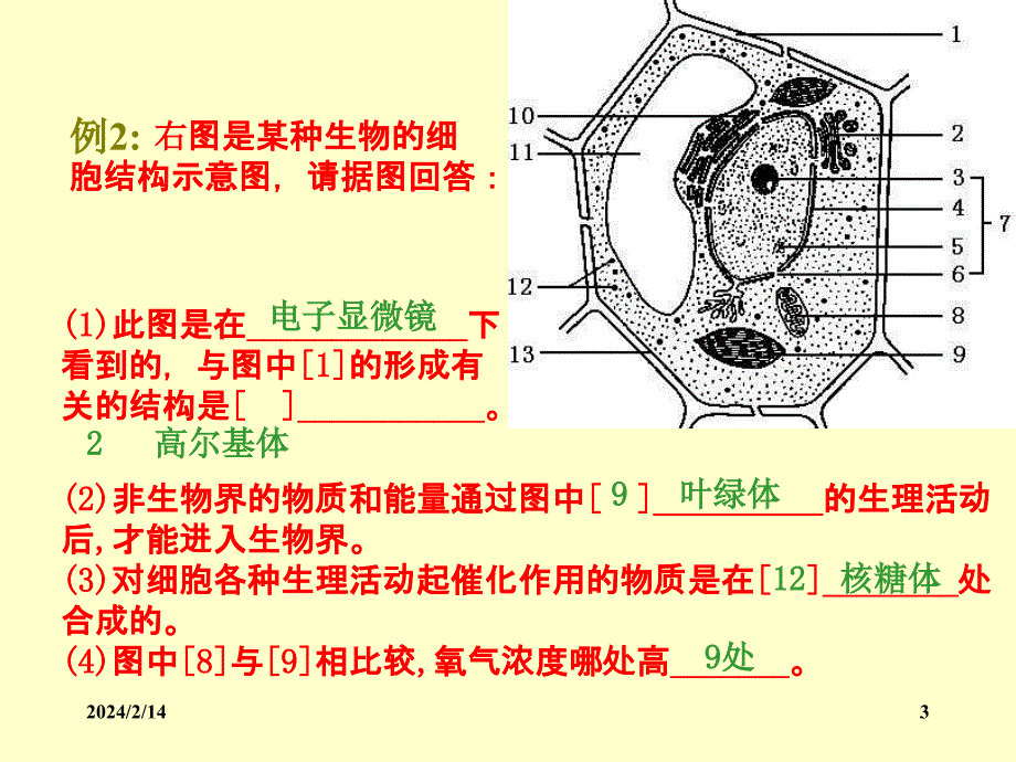 高中生物综合考试典型试题举例-中国生物教学网_第3页