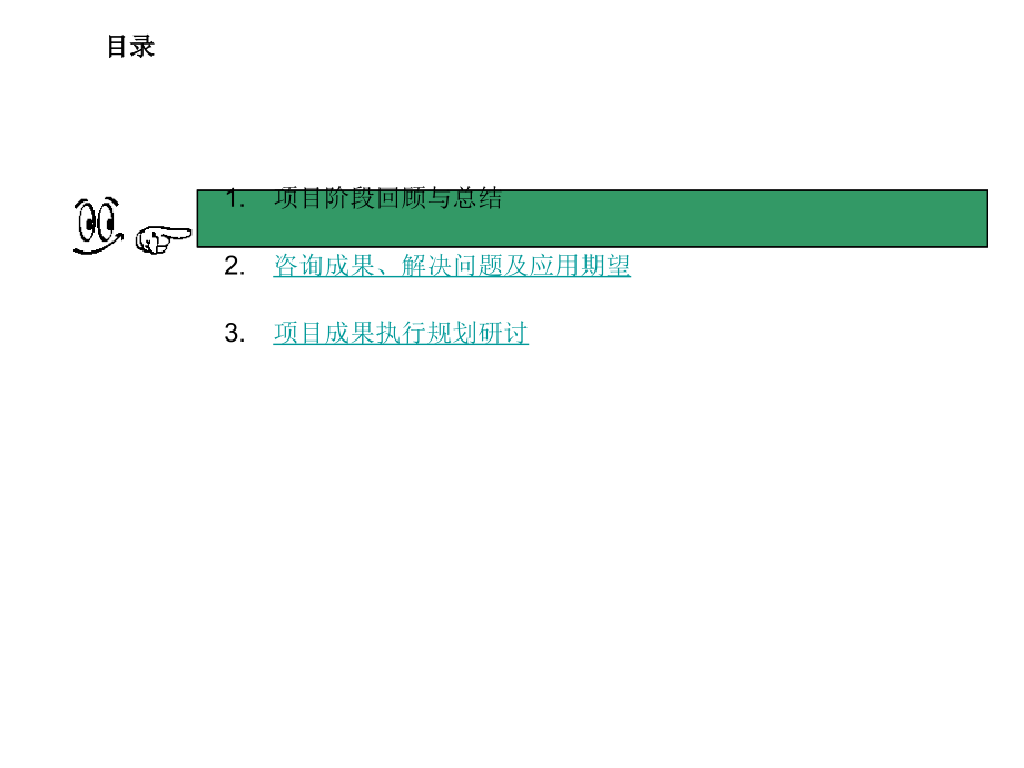 项目总结及实施规划会_第2页