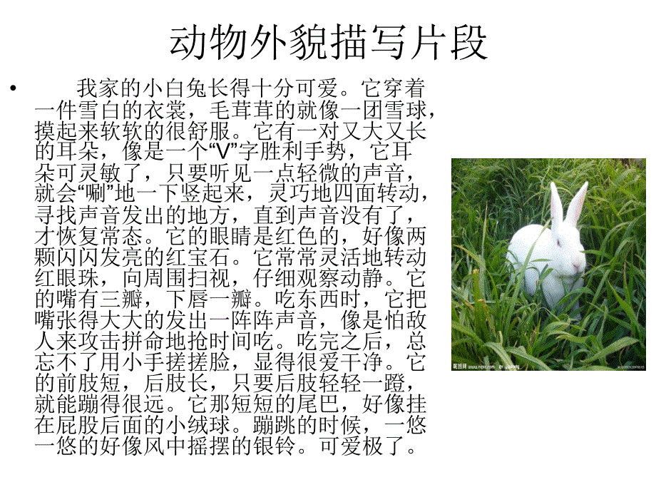 写作教学之喜欢的小动物_第3页