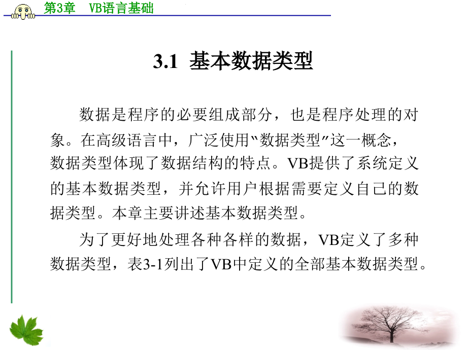 南邮VisualBasic程序设计课件ch2VB语言基础_第2页