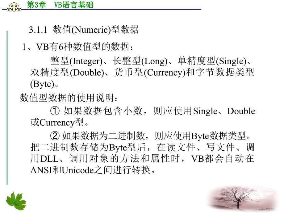 南邮VisualBasic程序设计课件ch2VB语言基础_第5页
