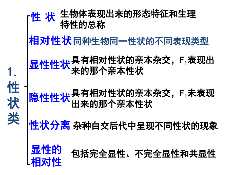 孟德尔豌豆杂交实验复习课件_第2页