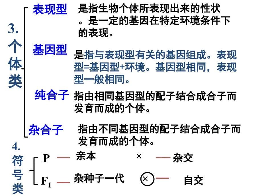 孟德尔豌豆杂交实验复习课件_第5页