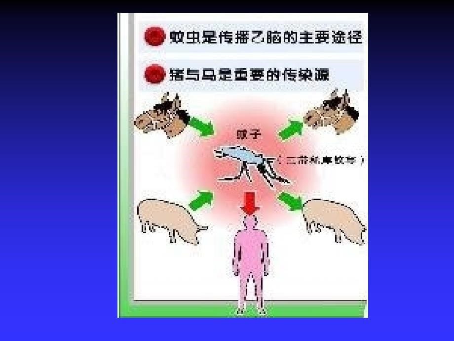 流行性乙型脑炎患者的护理_第5页