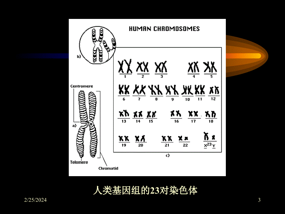 人类后基因组时代_第3页