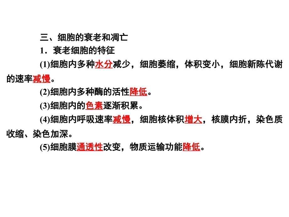 细胞的分化衰老调亡与癌变_第5页