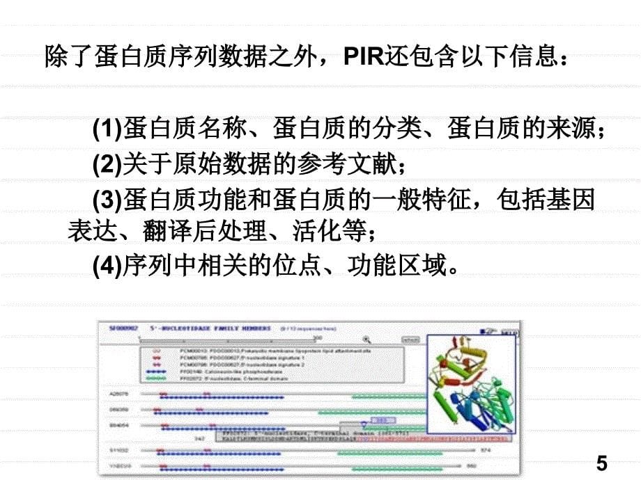 PIR蛋白质序列数据库_第5页