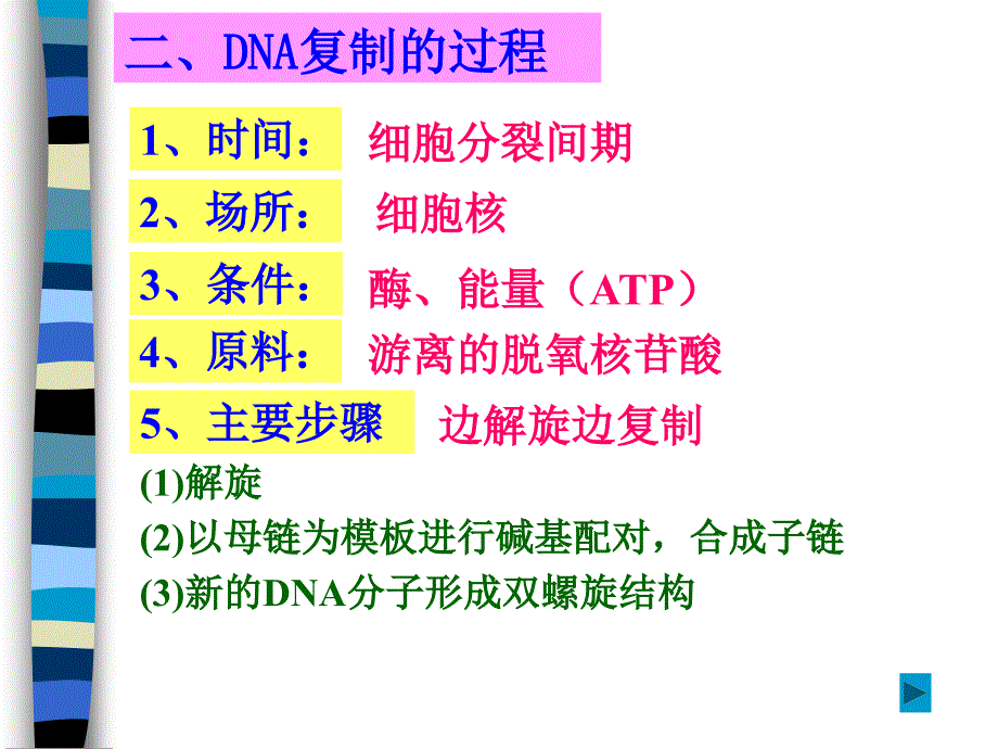 DNA复制和蛋白质合成_第3页