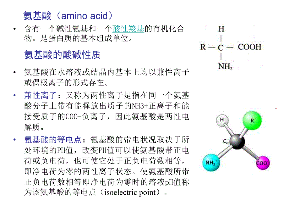 蛋白质电泳与操作_第3页