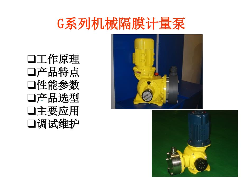 G系列机械隔膜计量泵_第1页