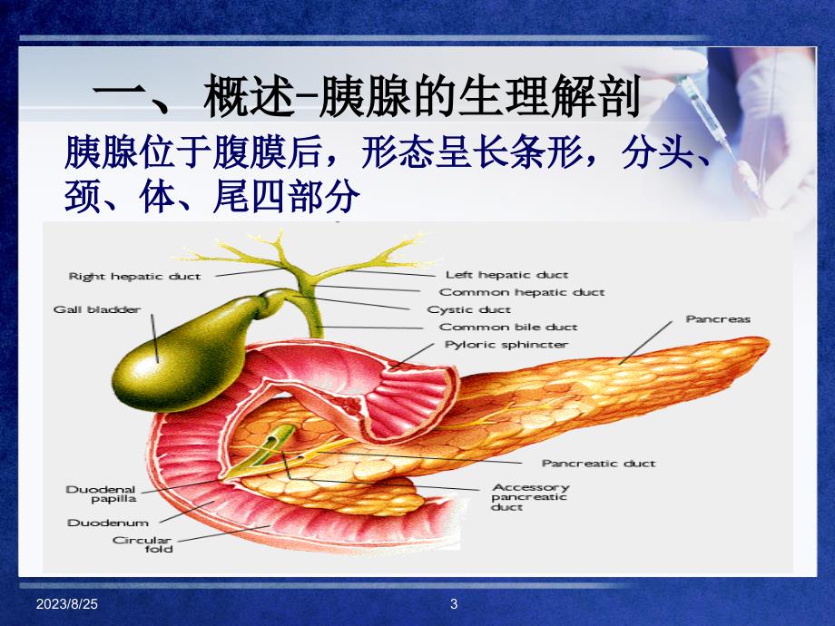 AP急性胰腺炎的护理_第3页