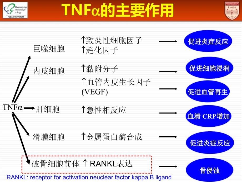 TNF-α拮抗剂治疗适应证_第5页