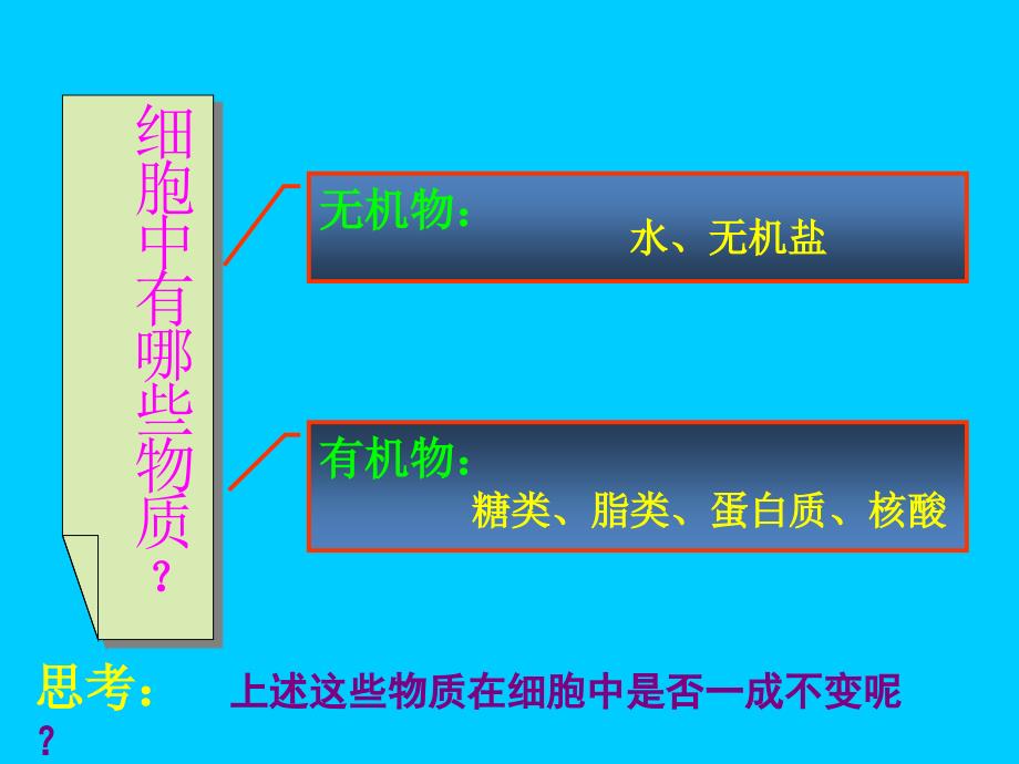 人教版细胞的生活需要物质和能量_第3页