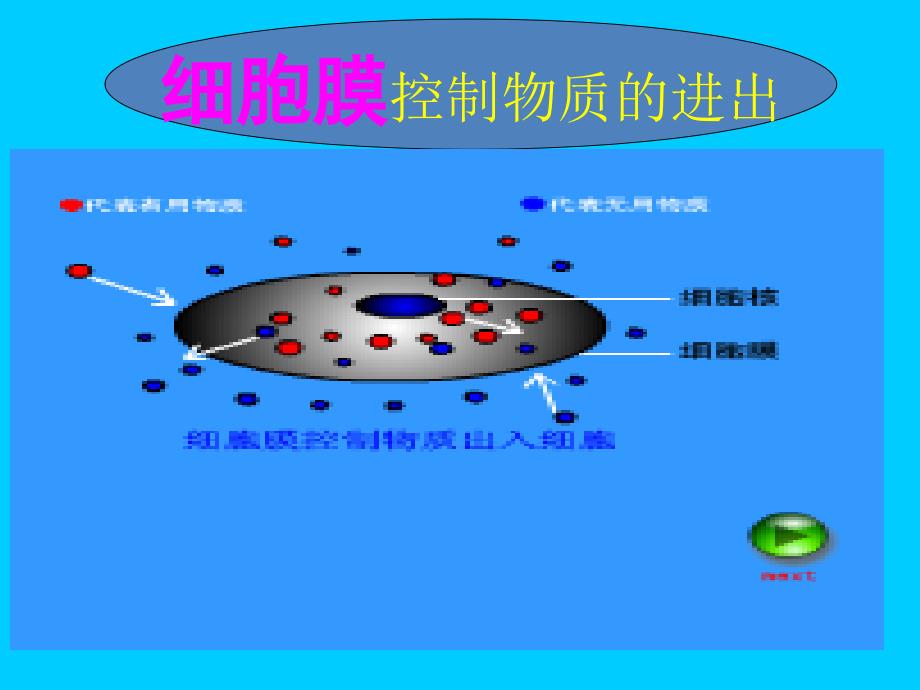 人教版细胞的生活需要物质和能量_第4页