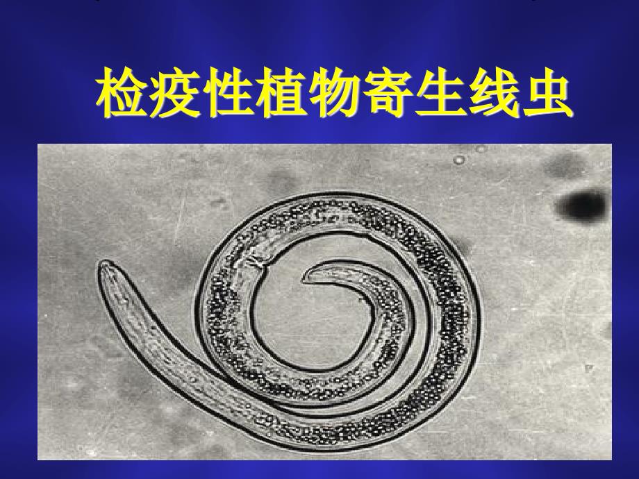 检疫性植物寄生线虫_第1页