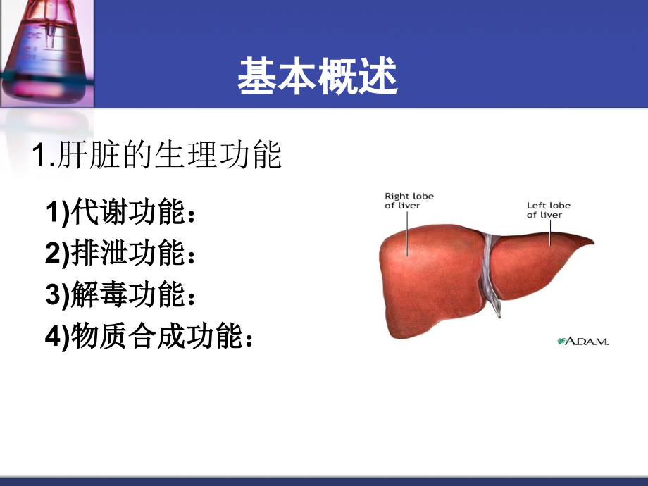 民盛肝功等指标体检意义_第3页