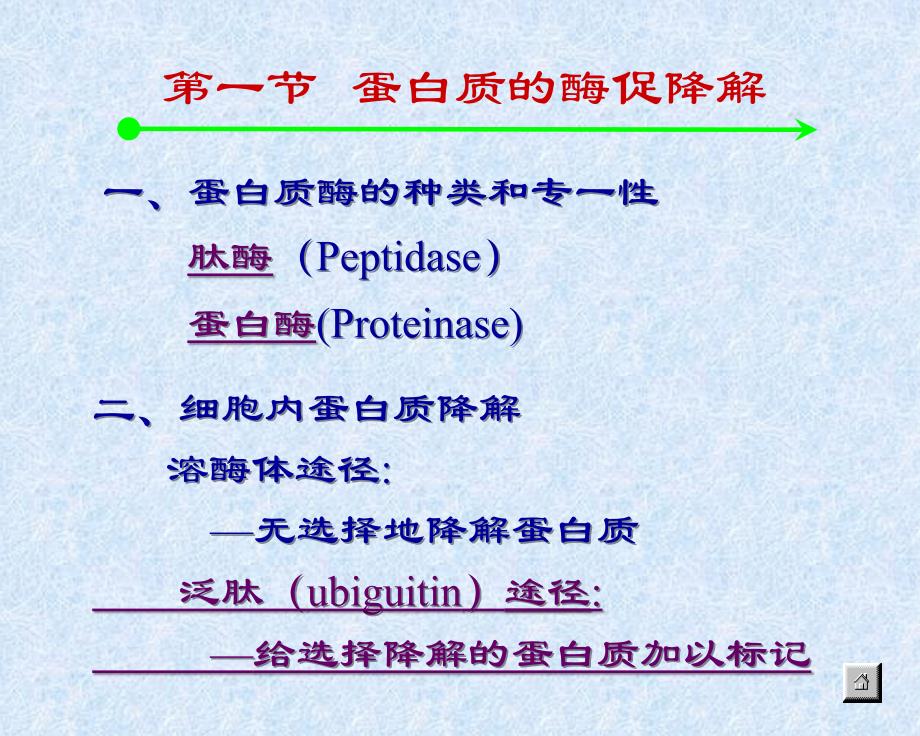 计算机等级考试级网络技术模拟题_第2页