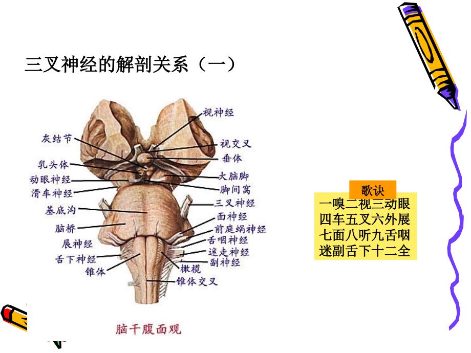 三叉神经痛的治疗与护理_第4页