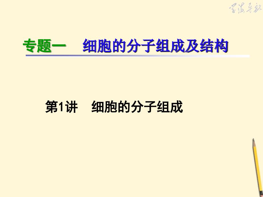 2012届高考生物第二轮复习专题1小专题01细胞的分子组成课件_第1页