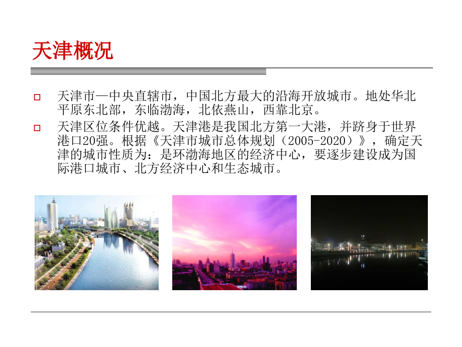 天津东丽湖项目开发计划_第4页