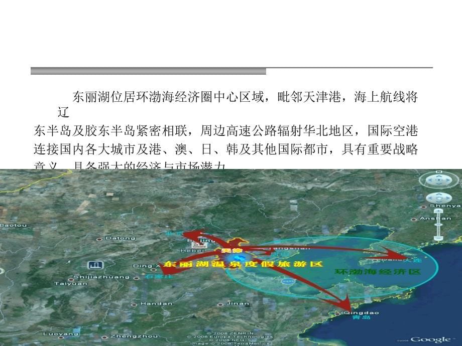 天津东丽湖项目开发计划_第5页