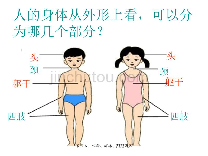 冀教版六年级科学下册《奇妙的人体》_第2页