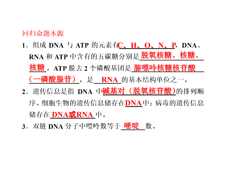 二轮复习课件专题一细胞的分子组成和基本结构1(33张)_第3页