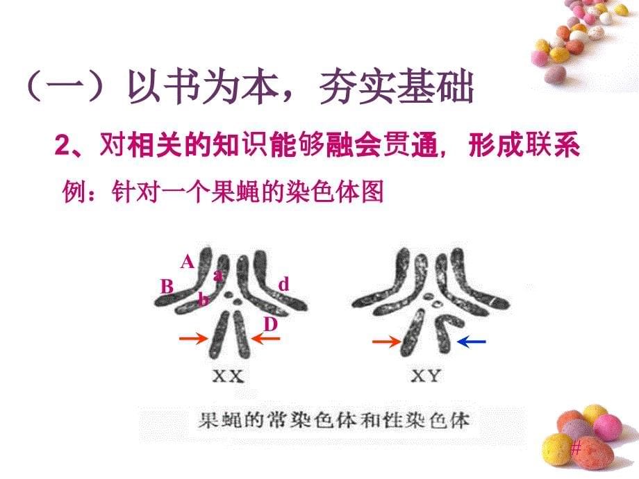 2010年3月高考研讨会资料-生物资料-兰炼一中_第5页