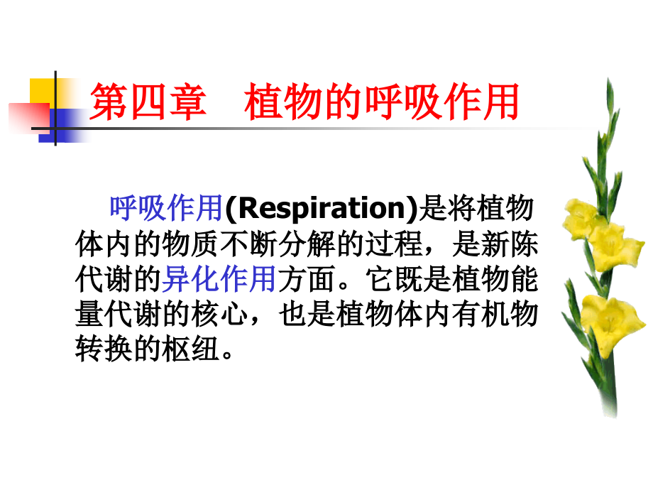 植物生理学呼吸作用_第1页