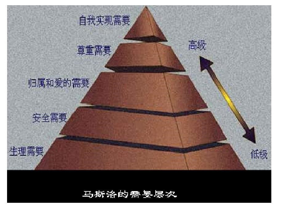 人才学院精英心理培训工作坊1_第5页