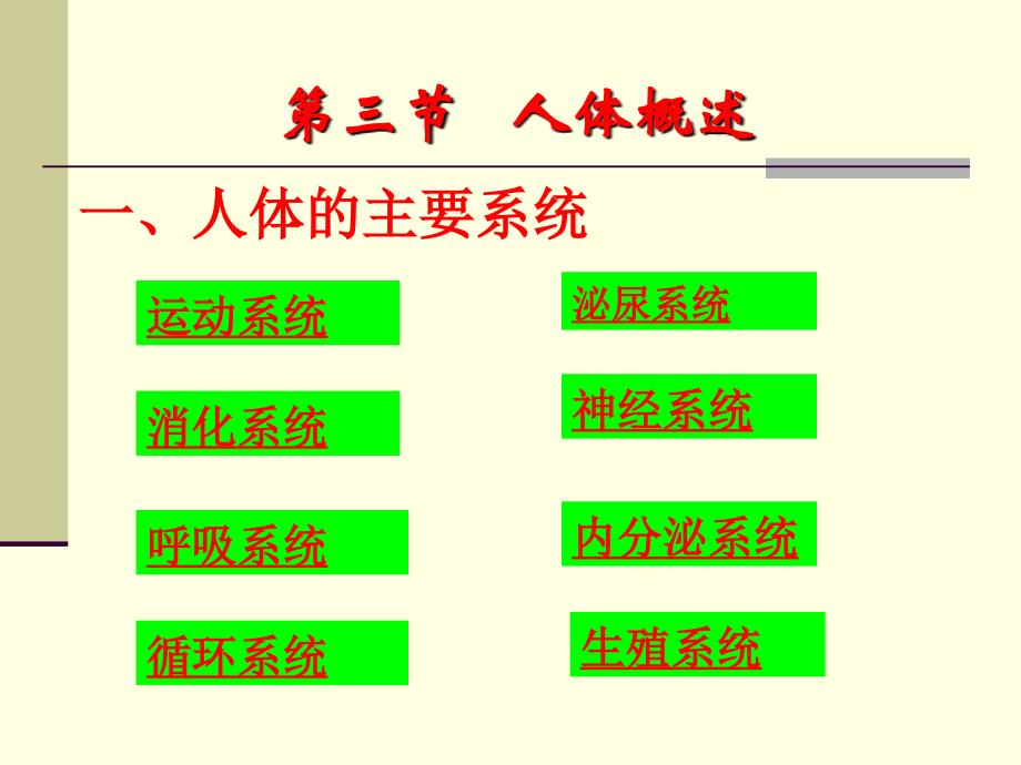 人体的主要系统及组成_第4页