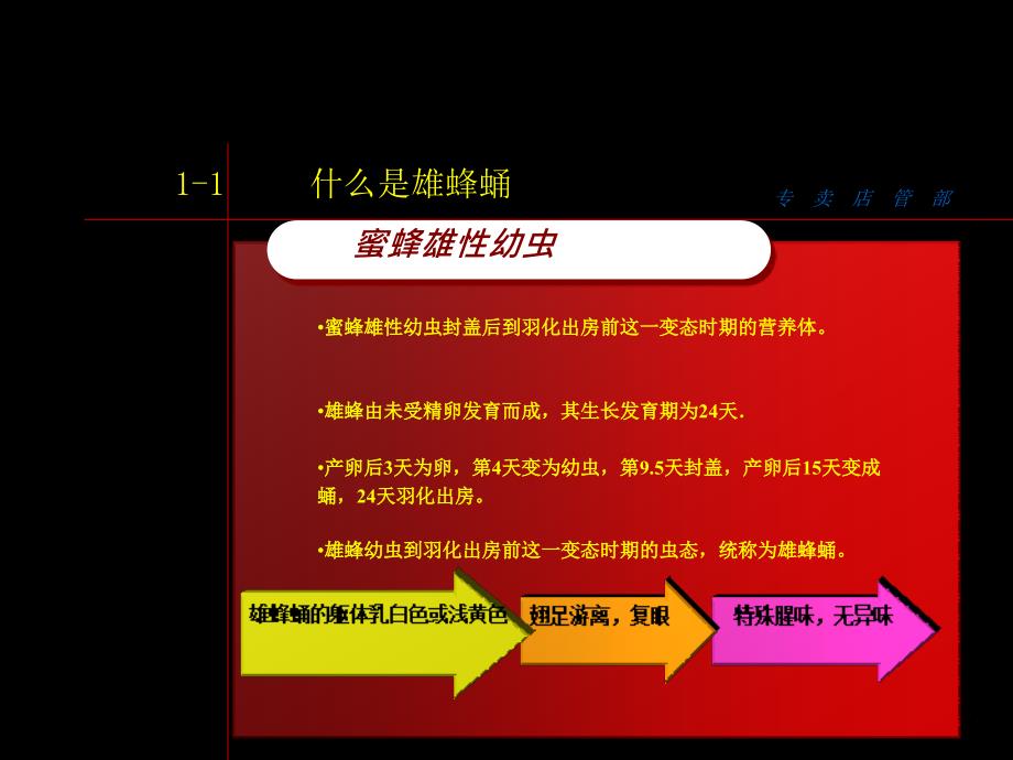 雄蜂蛹胶囊FABE推广讲义.ppt_第3页