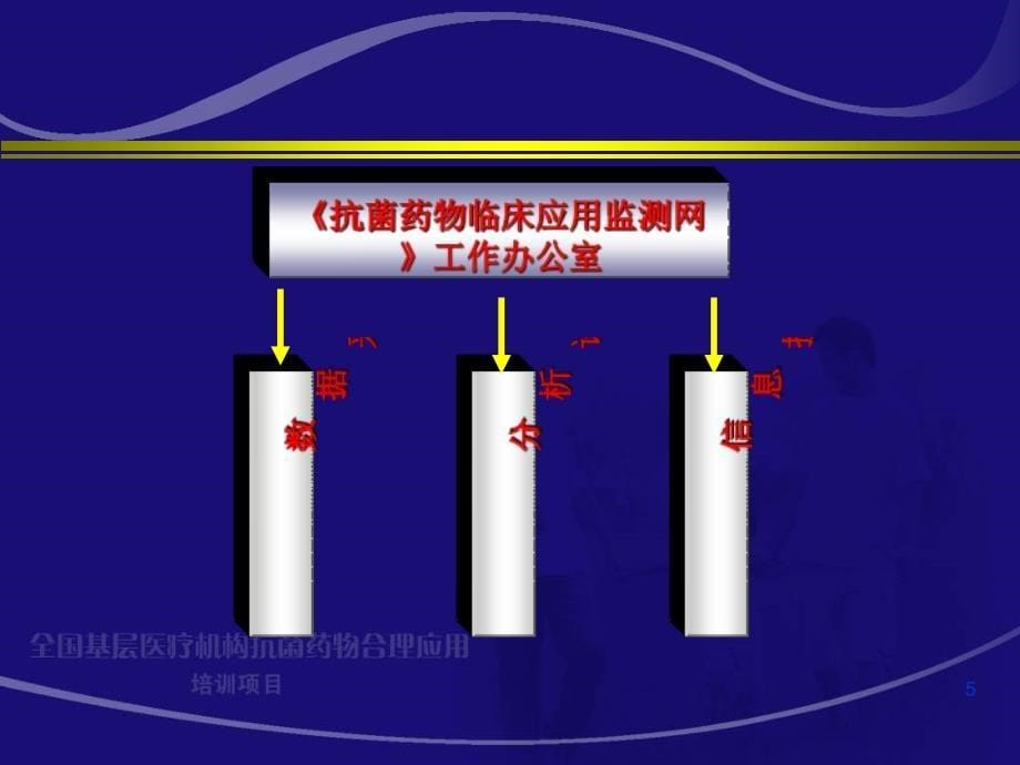 抗菌药物临床应用监测与评价_第5页