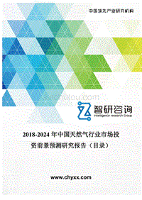 2018-2024年中国天然气行业市场投资前景预测研究报告(目录)