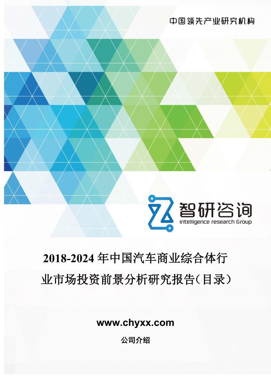 2018-2024年中国汽车商业综合体行业市场投资前景分析研究报告(目录)_第1页