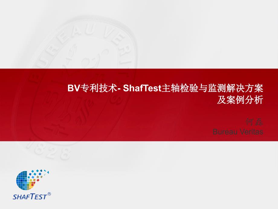 BV专利技术ShafTest-中文(何磊)_第1页