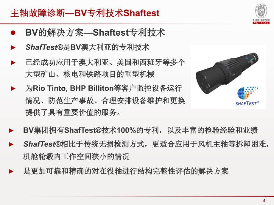 BV专利技术ShafTest-中文(何磊)_第4页