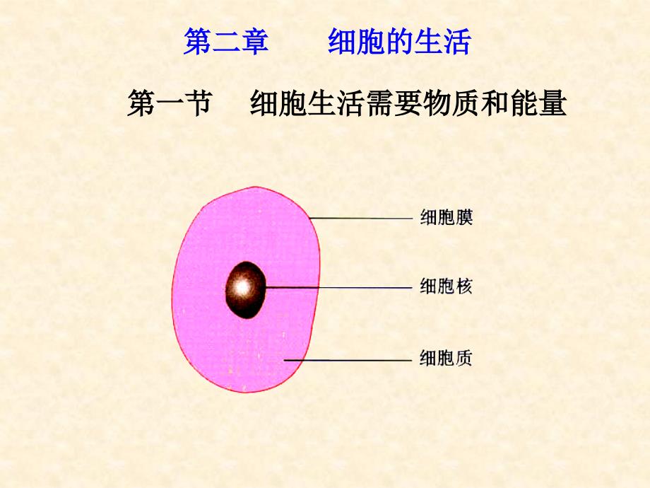 人教版七年级初一上册生物《细胞生活需要物质和能量PPT课件》_第1页