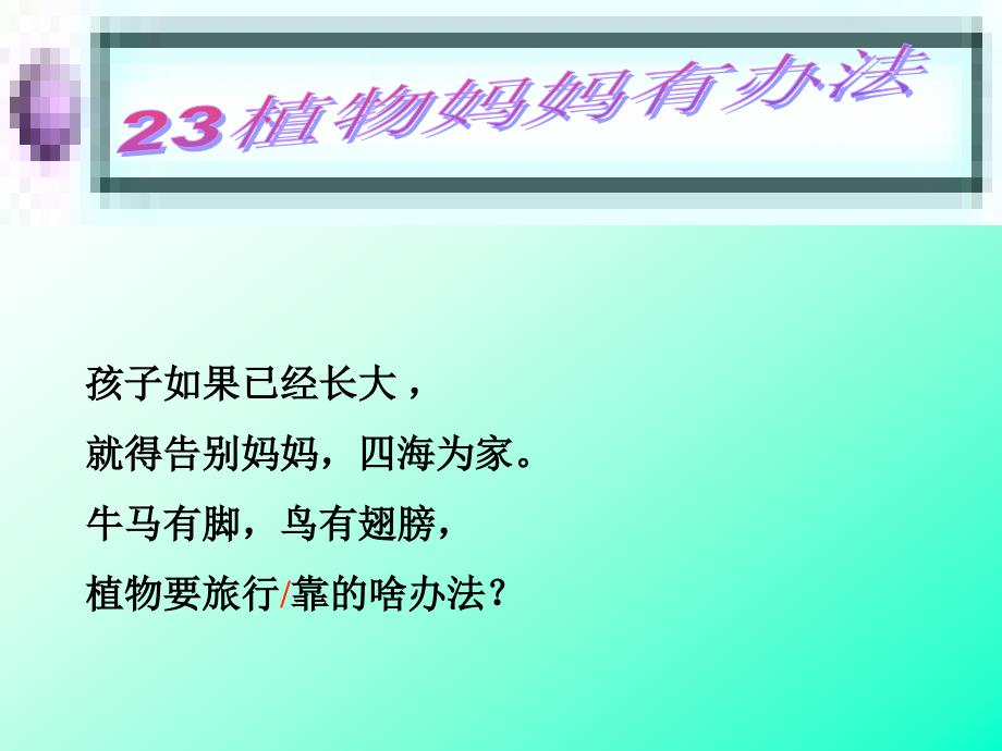 人教版小学二年级语文上册第3课《植物妈妈有办法》PPT课件_第4页