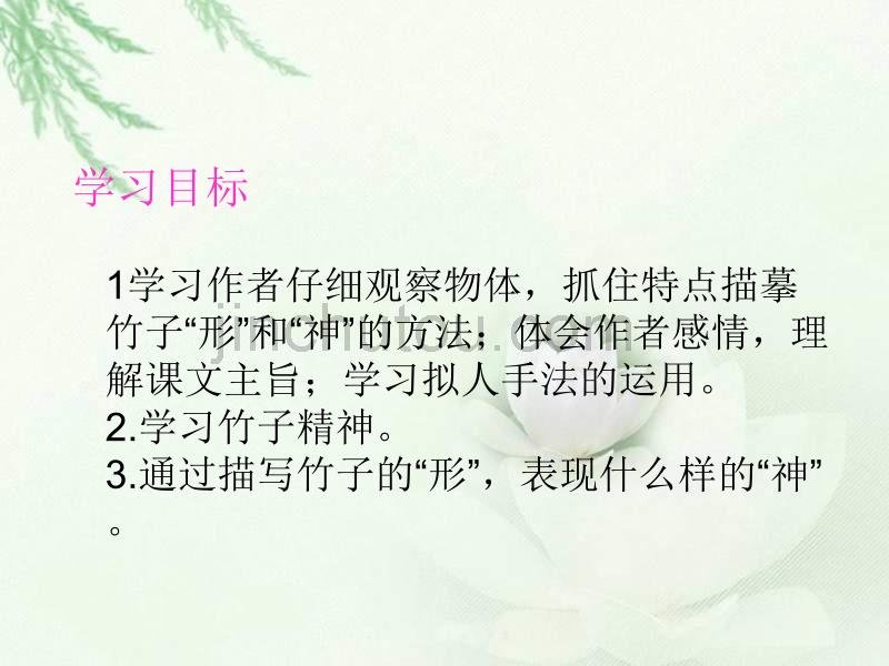 六年级语文竹颂课件_第2页