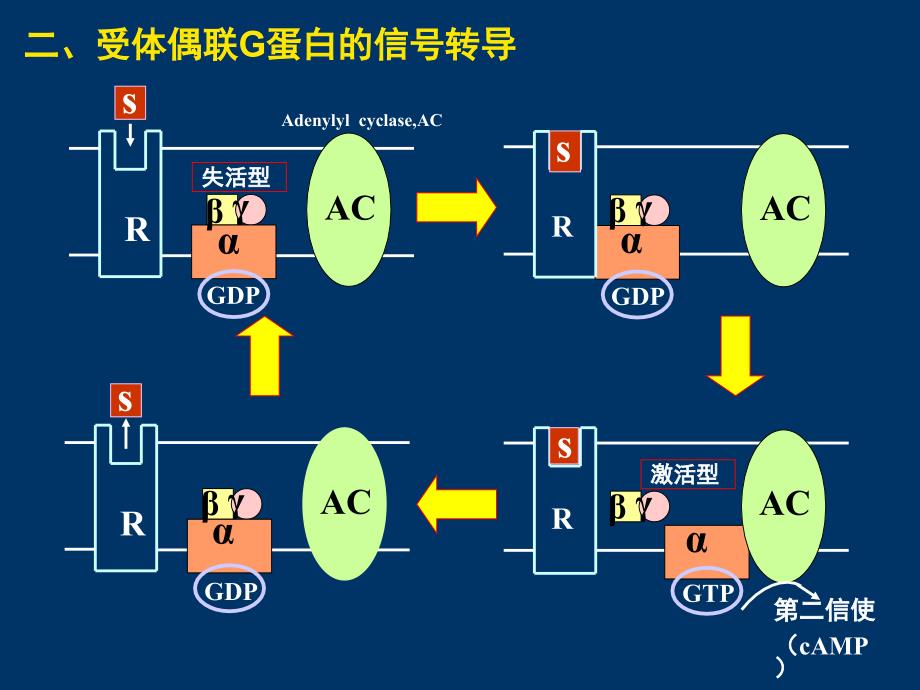 临床医学考前辅导_第3页