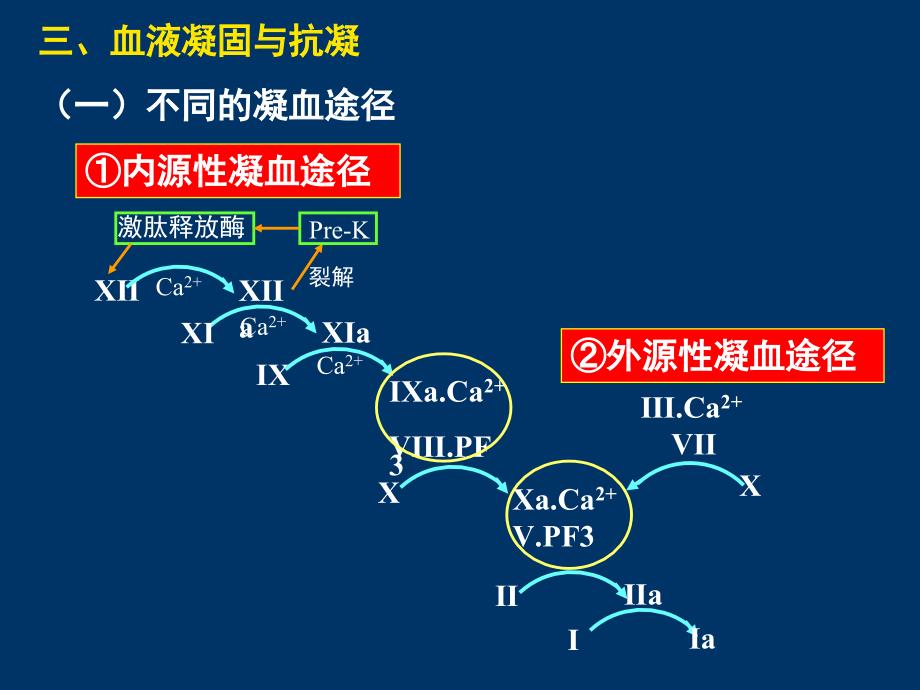 临床医学考前辅导_第4页