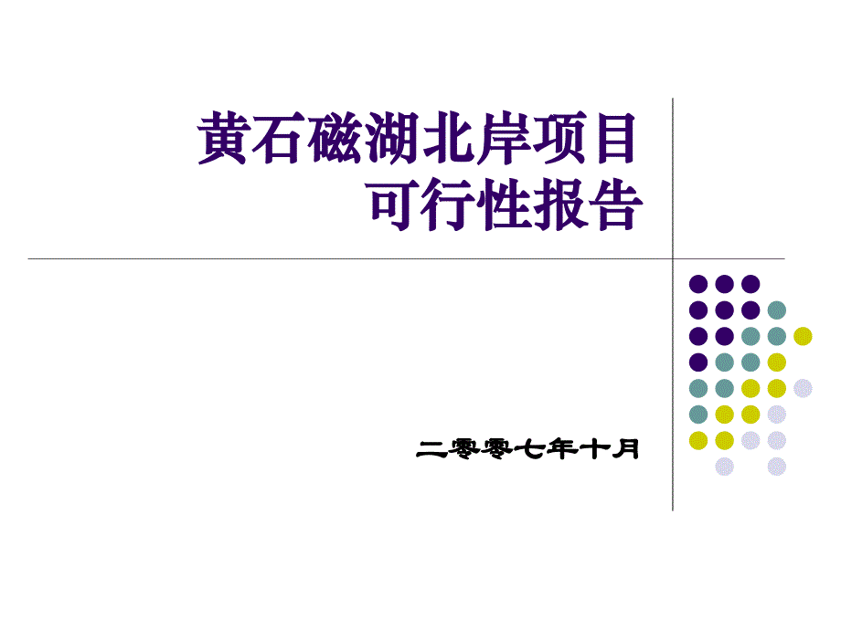 黄石磁湖北岸项目可行性报告_第1页