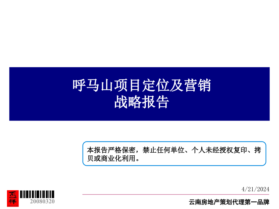 呼马山项目定位及营销战略报告_第3页