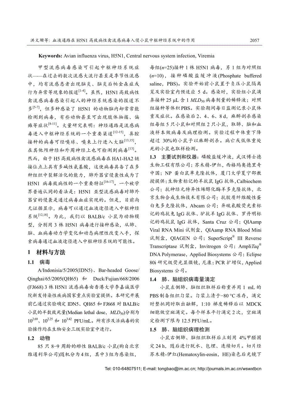 血液通路在H5N1高致病性禽流感病毒入侵小鼠中枢神经系_第2页