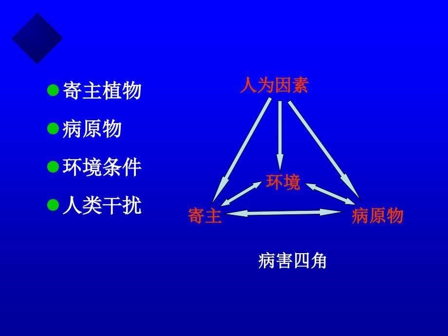 12普通植物病理学-植物病害流行与预测_第5页