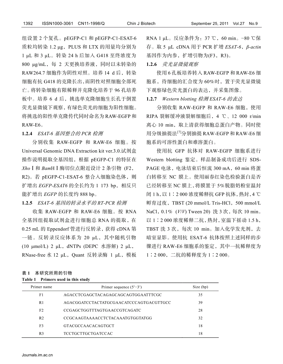 稳定表达结核分枝杆菌ESAT-6蛋白的RAW264.7细胞_第3页