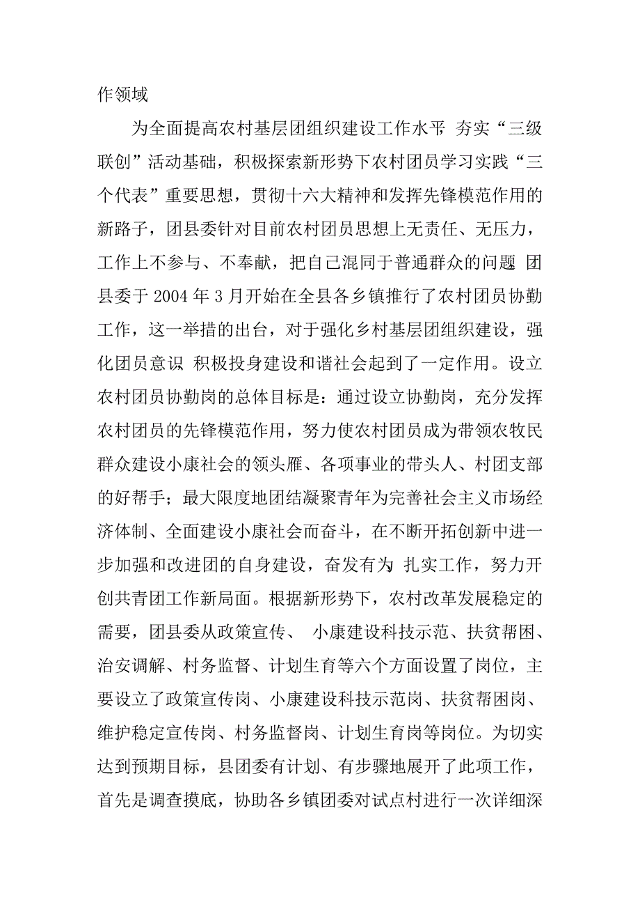 农村基层团组织建设现场会经验交流材料　_第3页