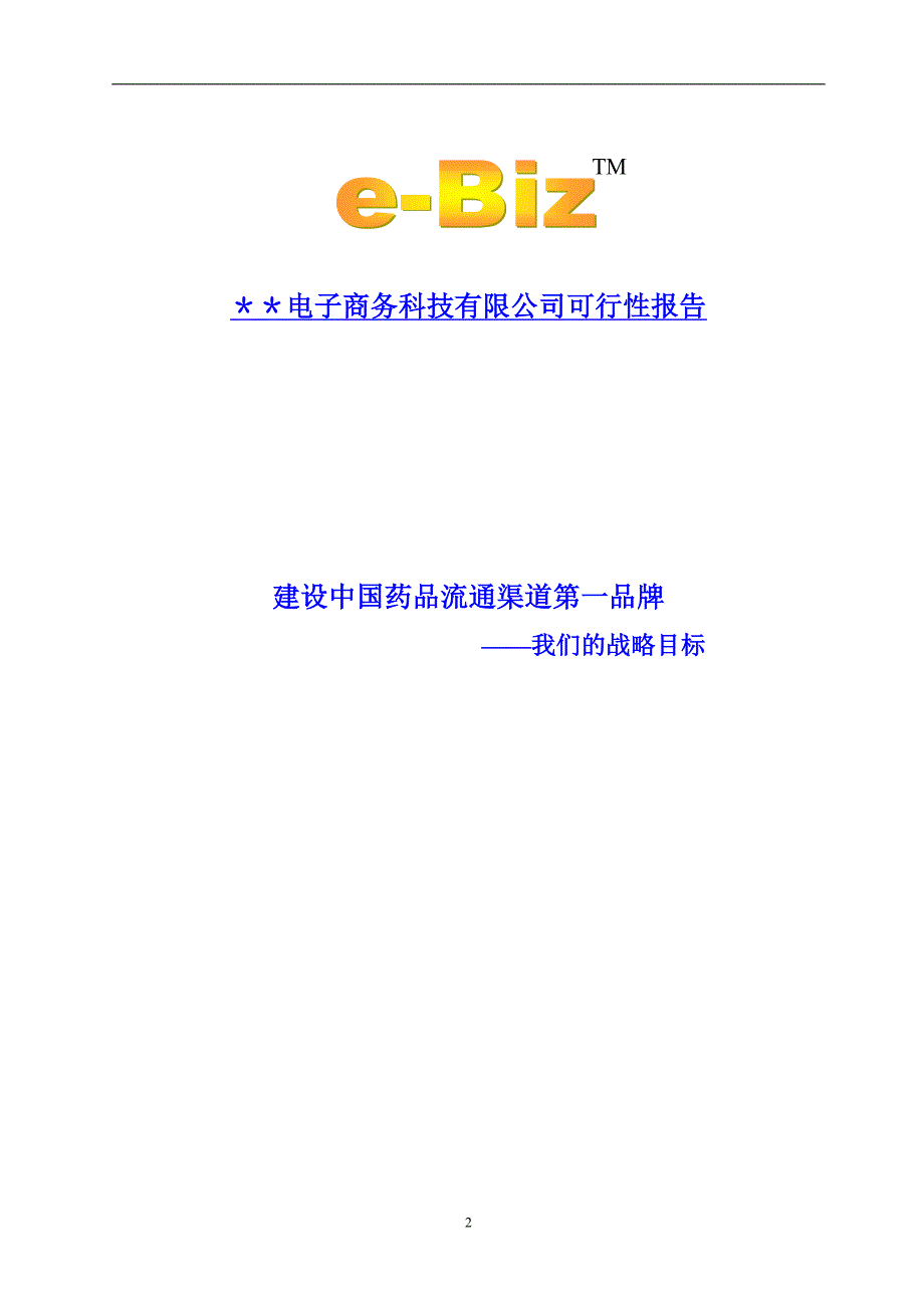 ＊＊电子商务科技有限公司可行性报告_第2页